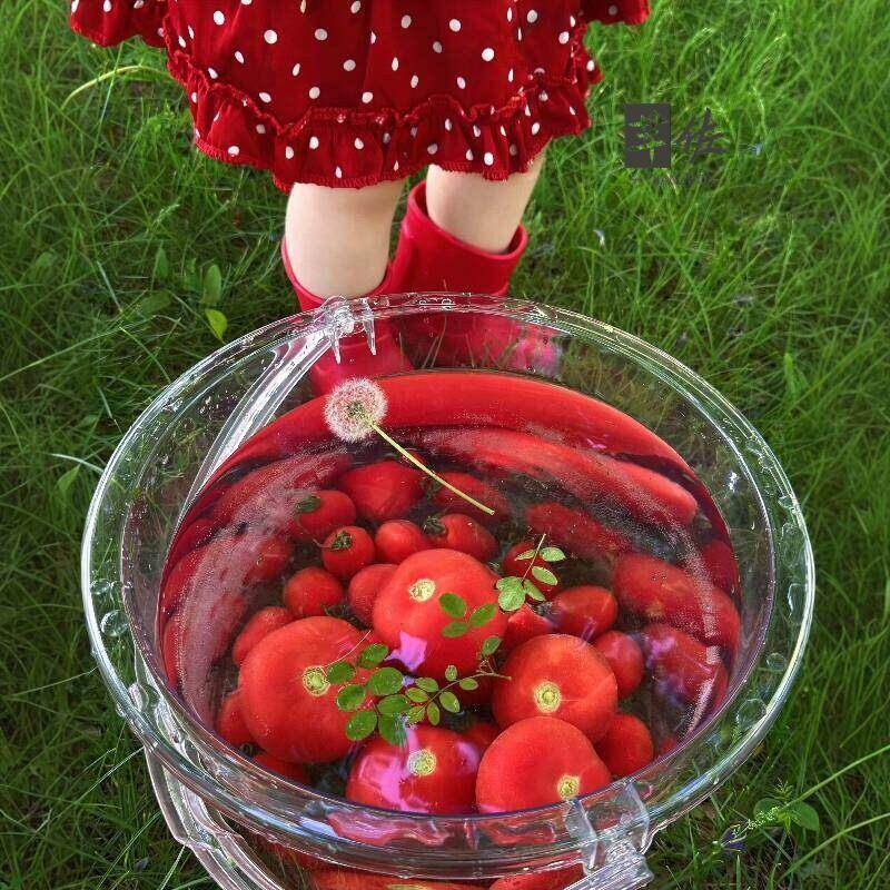 Balde de Água Transparente de  - Baby Food Intake avaliação e preço