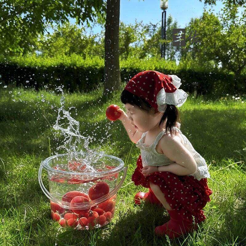 Balde de Água Transparente de  - Baby Food Intake avaliação e preço